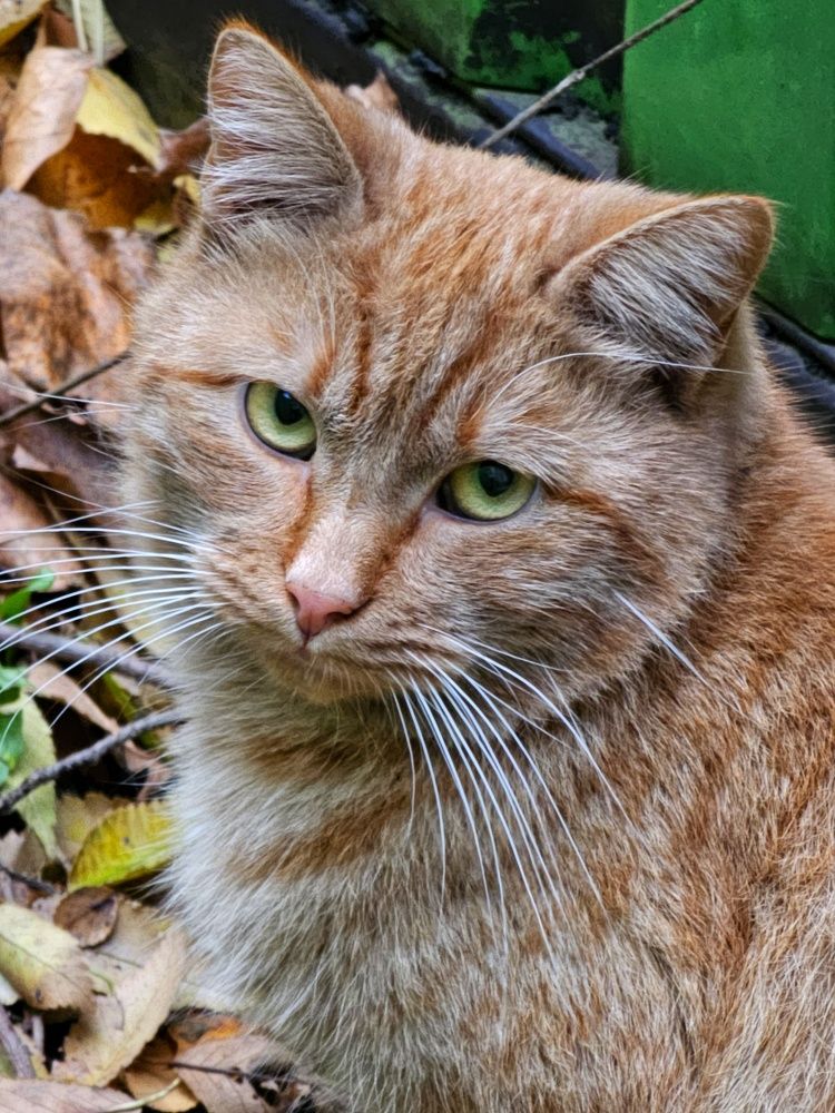 Photograph by Natali AB