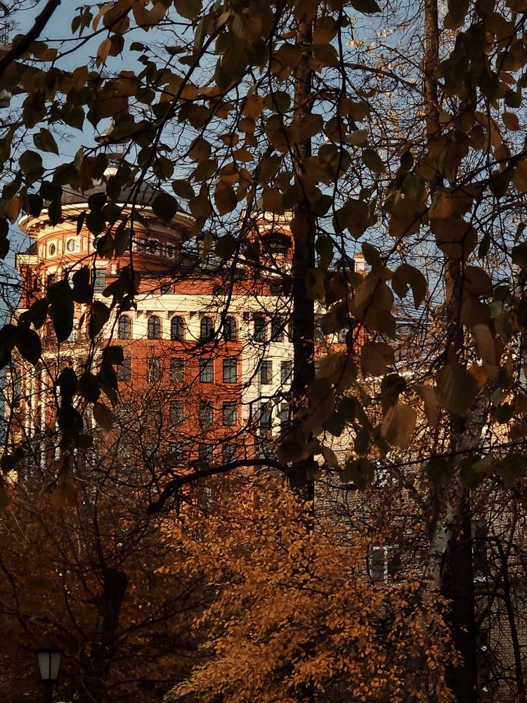 Photograph by Natali AB