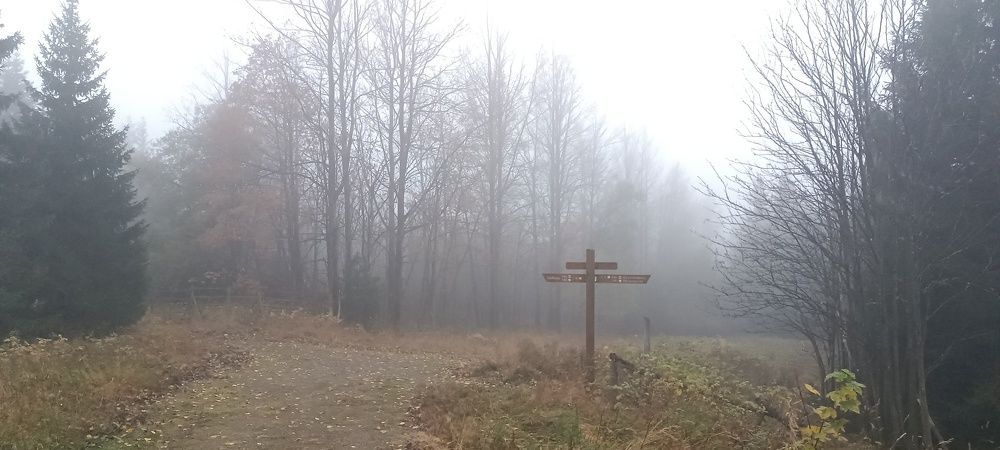 Photograph by Мария