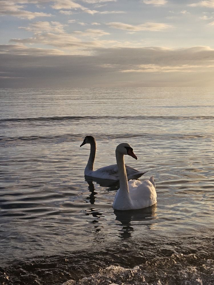 Photograph by ELENA KRYLOVA