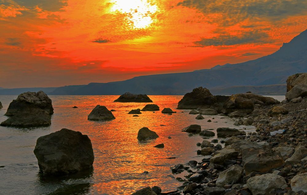 Photograph by 