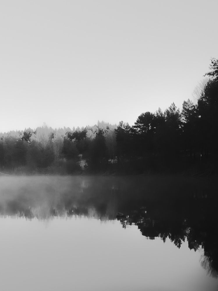 Фотография автора Алиса Исаева