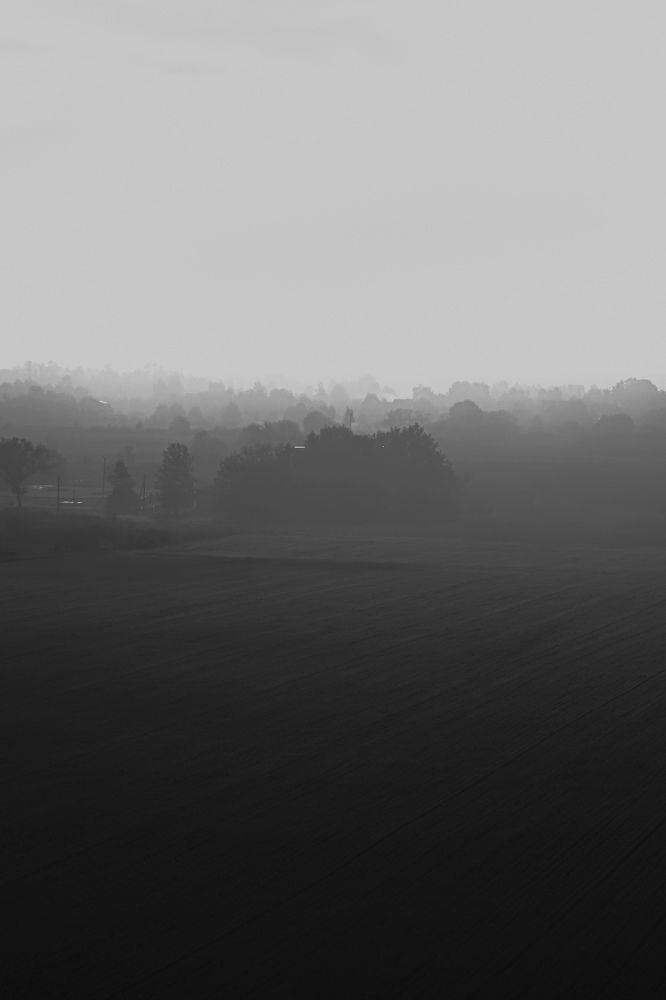 Фотография автора Алиса Исаева