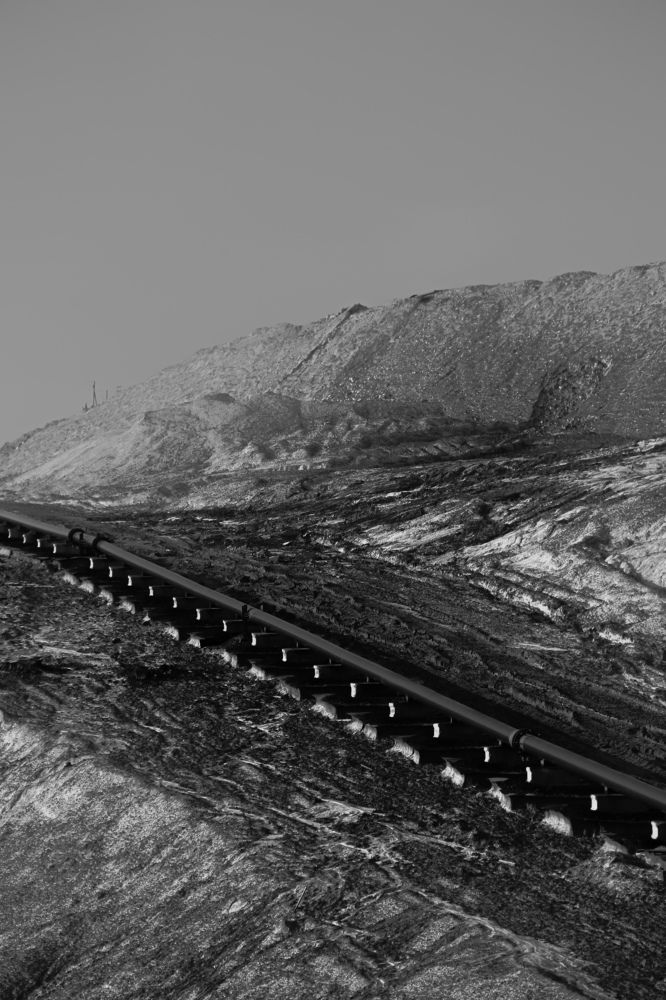 Фотография автора Алиса Исаева