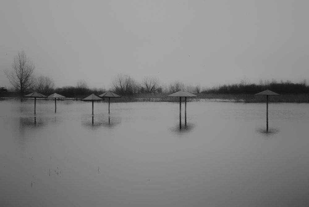 Фотография автора Алиса Исаева