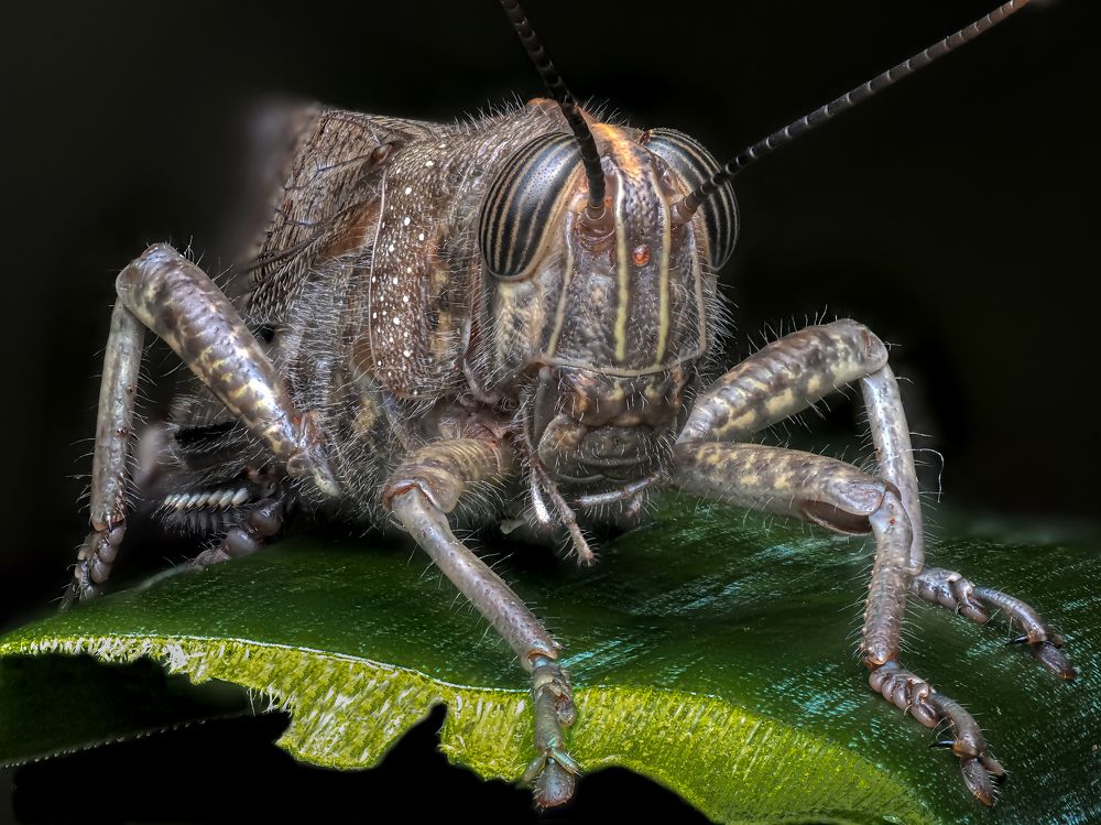 Photograph by Олег Савицкий