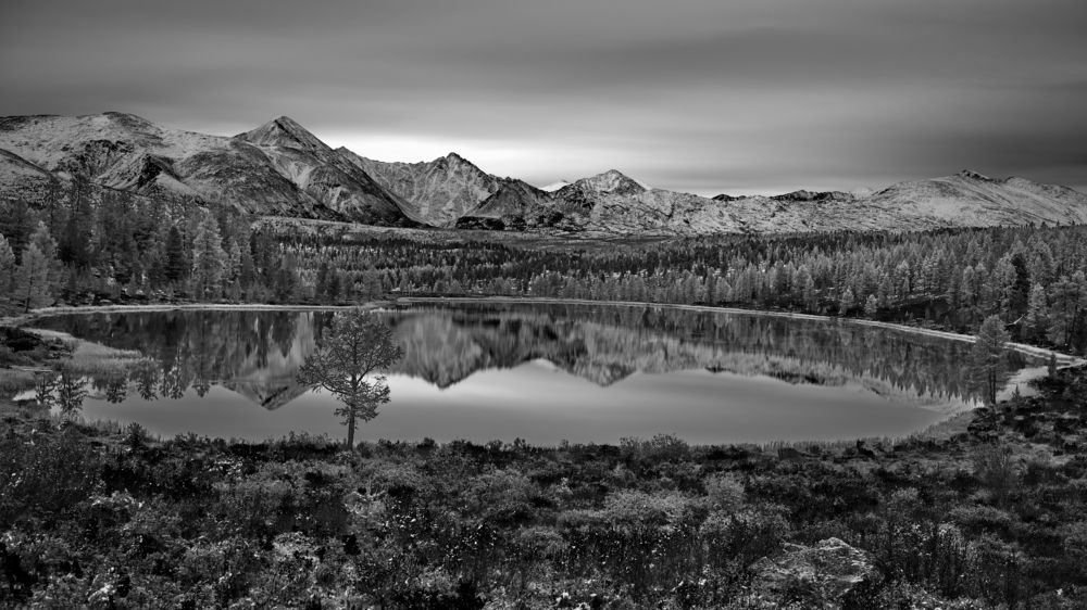 Зазеркалье