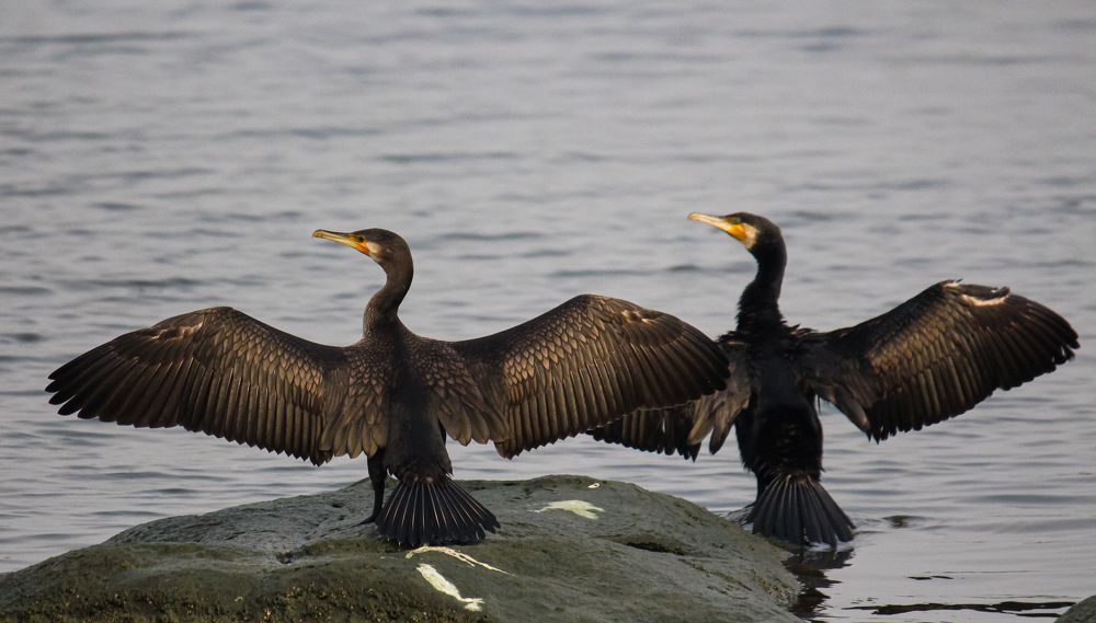 Photograph by Mathew Nishanth A