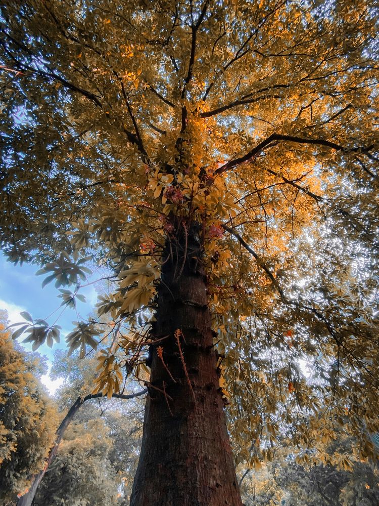 Photograph by Md. Farhan Rahman