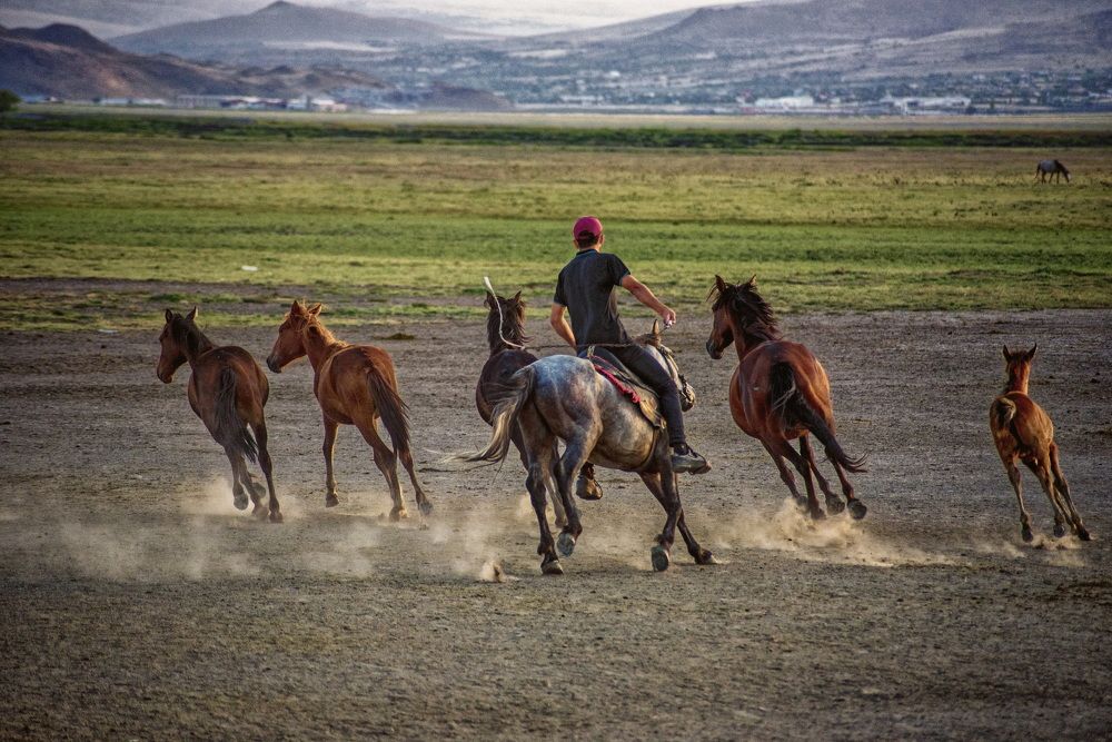 Photograph by DAMOUN POURNEMATI