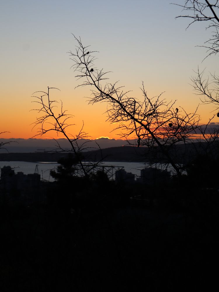 Photograph by Natalya Sedina