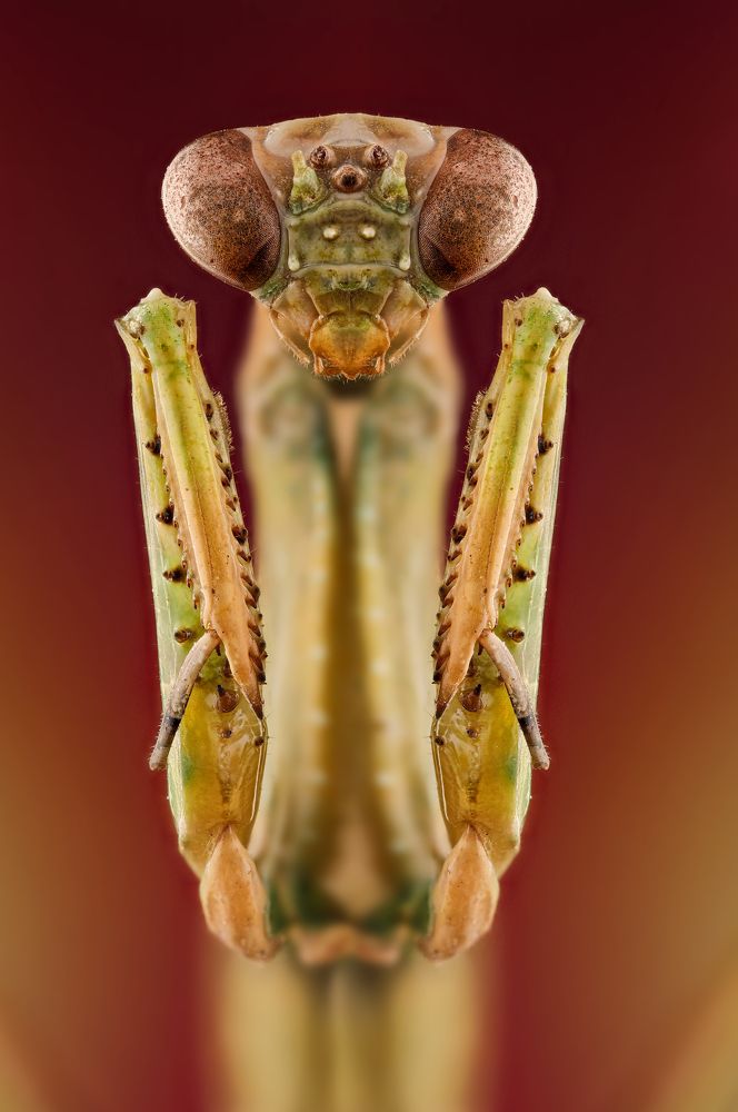 Photograph by Hocine Ferhat