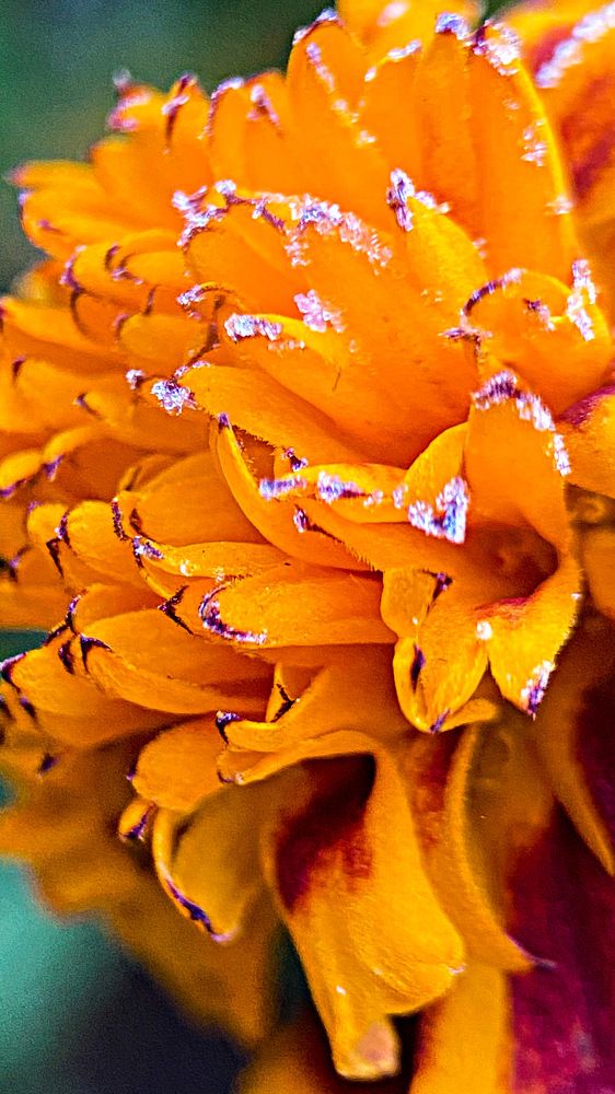 Photograph by Александра Гонтарь