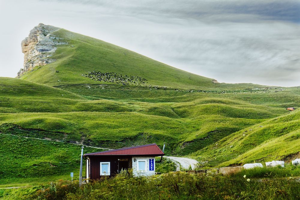 Photograph by Ершов Борис