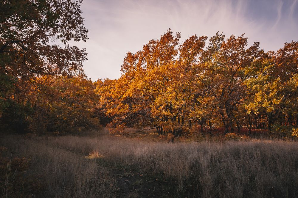 Photograph by Филипп Бабенко