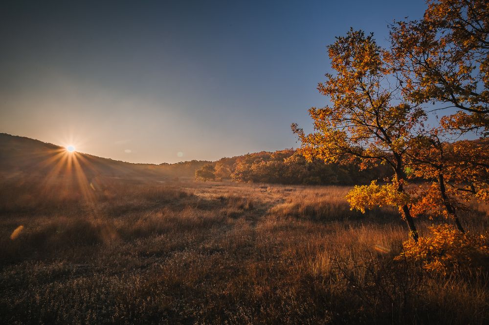 Photograph by Филипп Бабенко