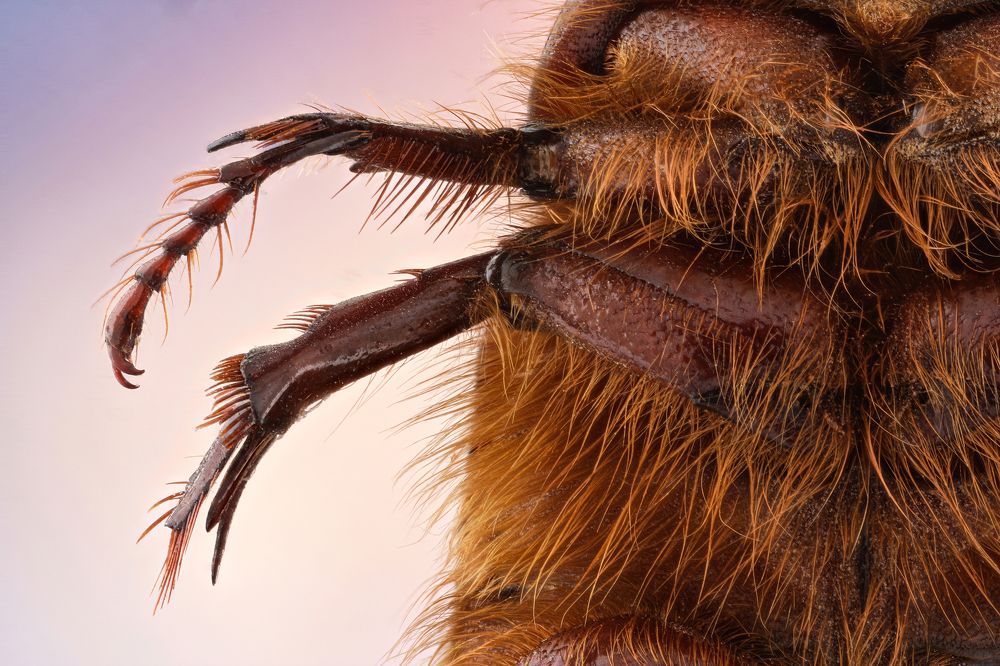 Photograph by Hocine Ferhat