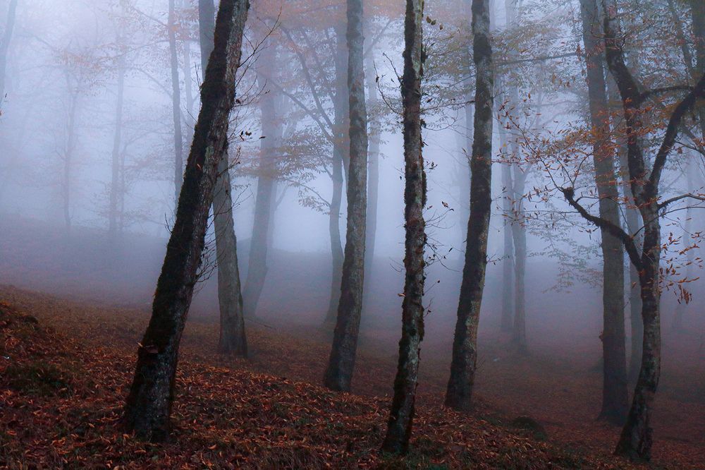 Photograph by Zahra jouri