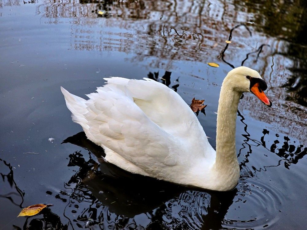 Photograph by Edgar Guillén