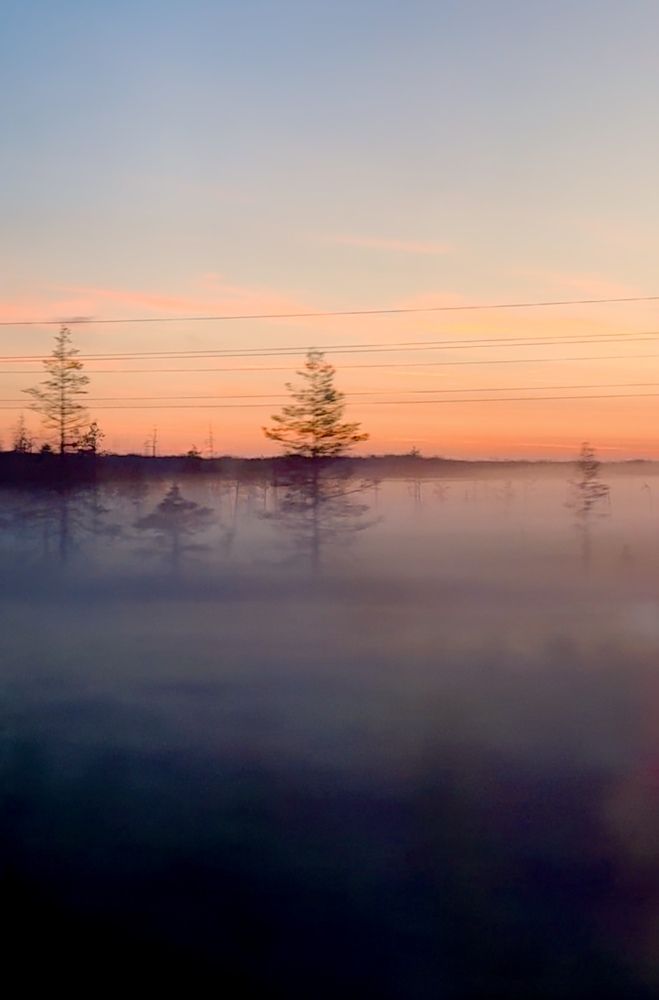 Photograph by Арина Бурда