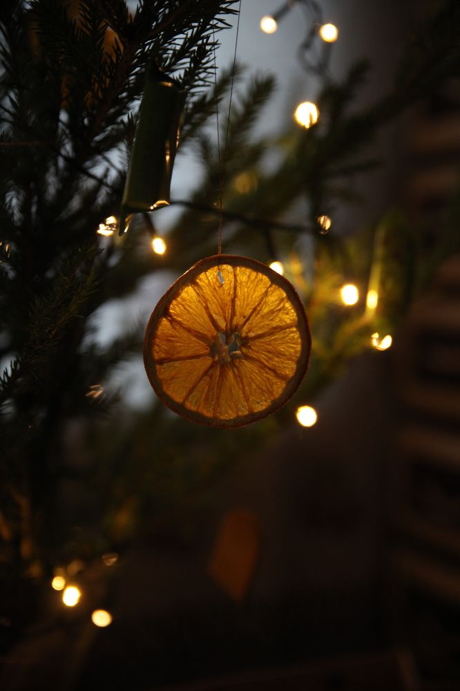 Photograph by Евфросиния Капустина