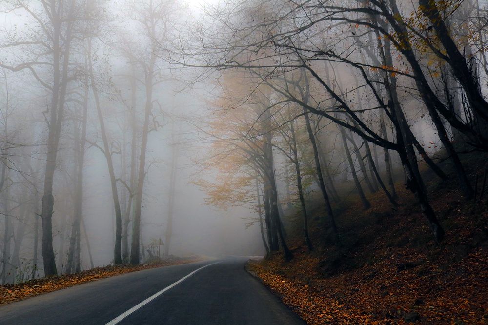 Photograph by Zahra jouri