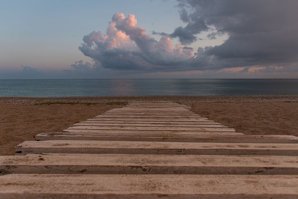 Фотография автора Светлана Дроголюбова