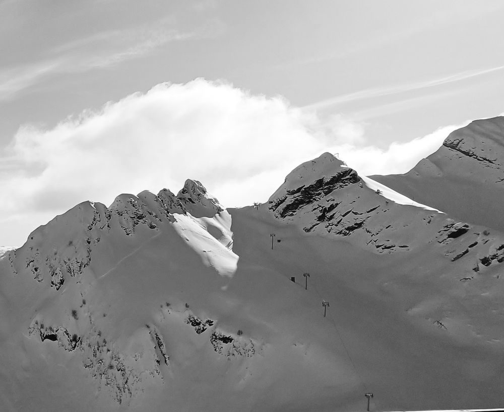 Photo #11496499