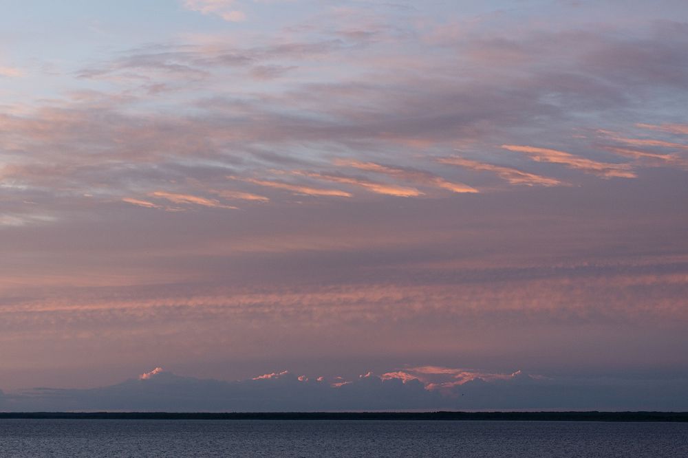 Фотография автора Светлана Дроголюбова