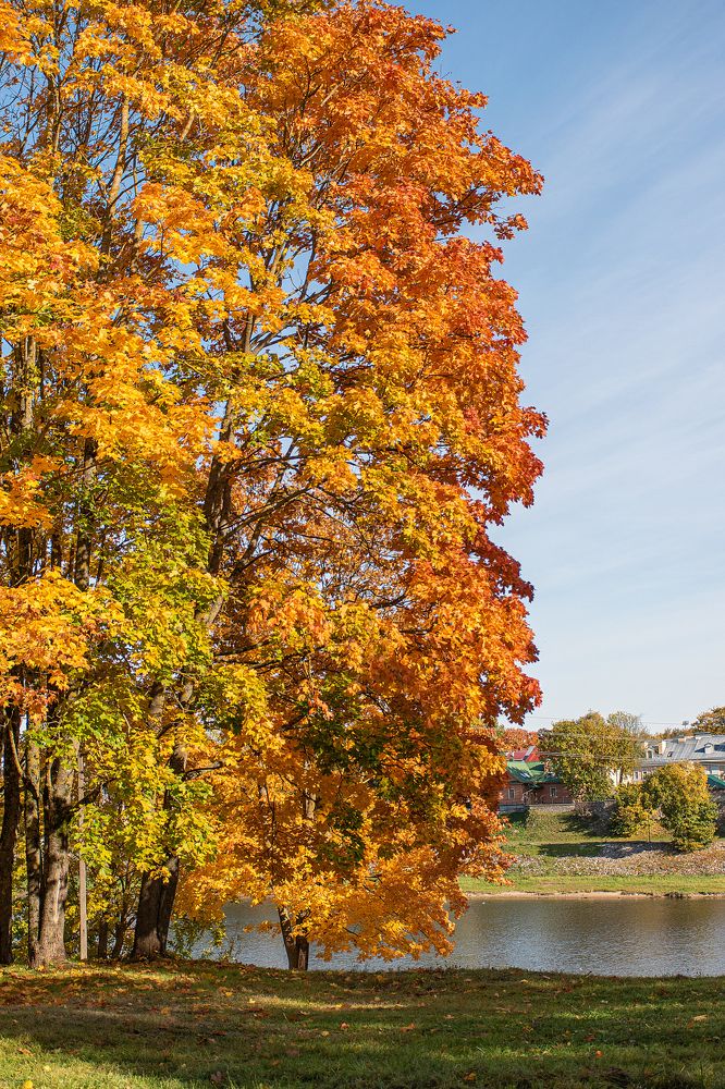 Фотография автора Светлана Дроголюбова