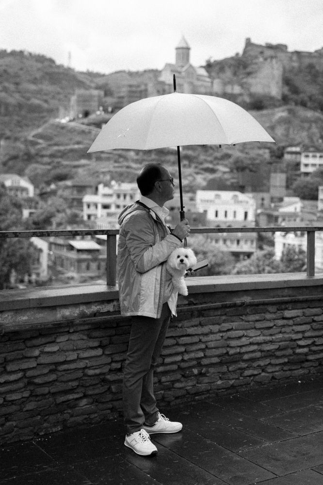 man and dog in the rein.