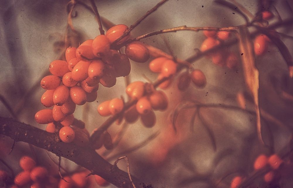 Photograph by Зыкова Мария