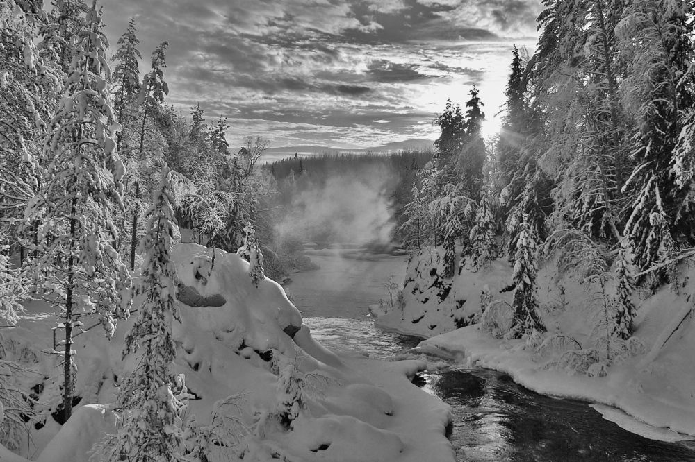 Photograph by Николай Раппу