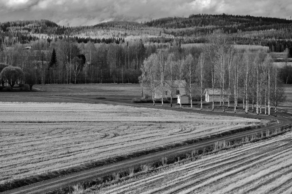 Photograph by Николай Раппу