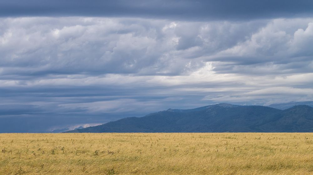 Photograph by Роман Гладкий