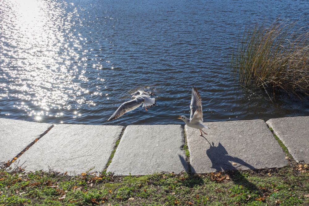 Photograph by Роман Гладкий