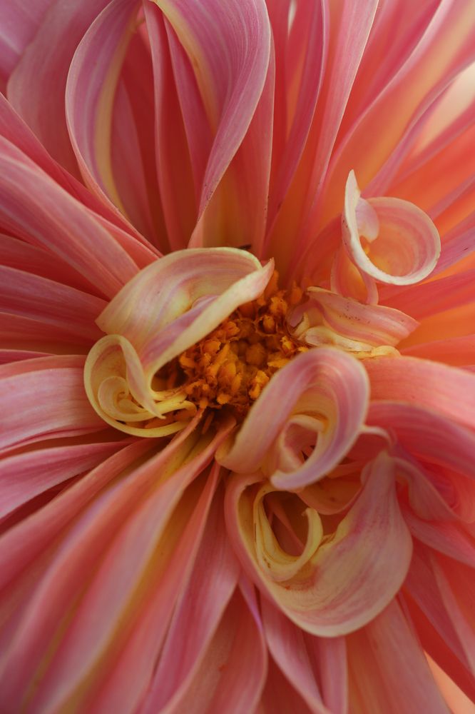 Photograph by Надежда Зайцева