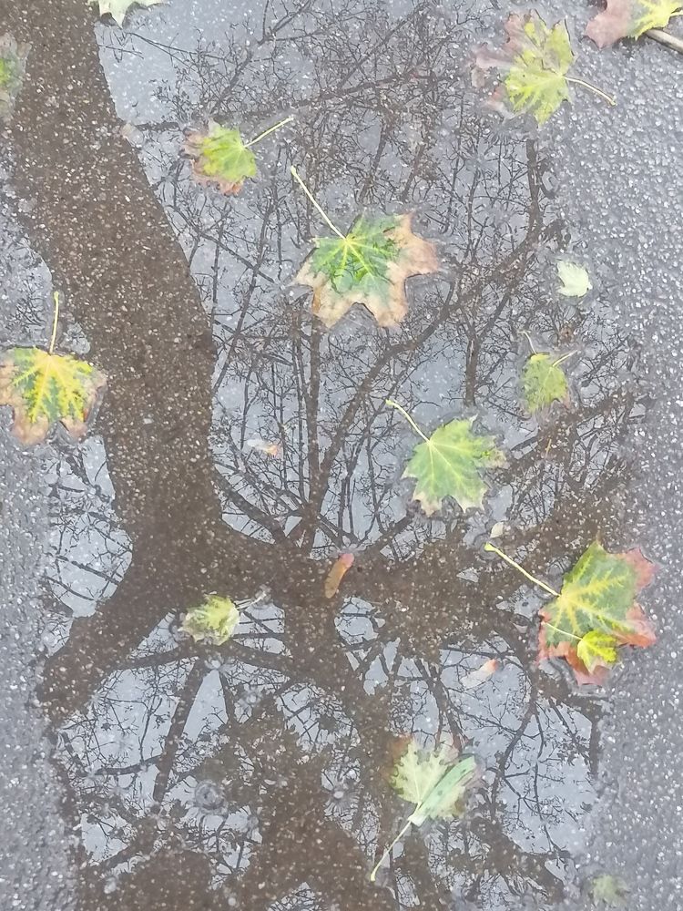 Photograph by Татьяна