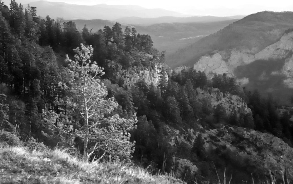 Photograph by Лада Денисова