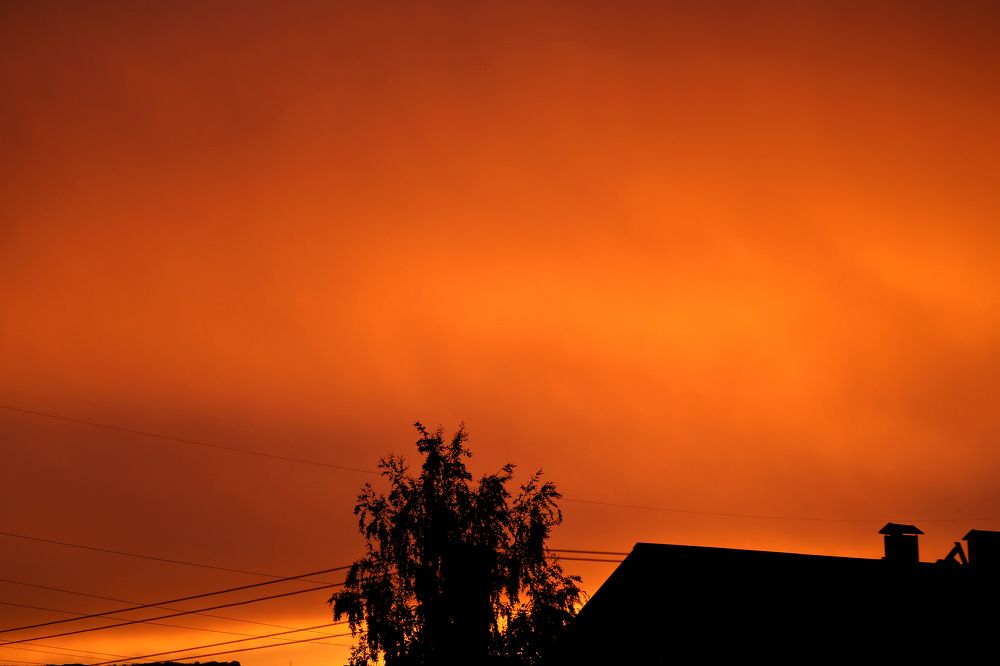 Photograph by София Лаврентьева