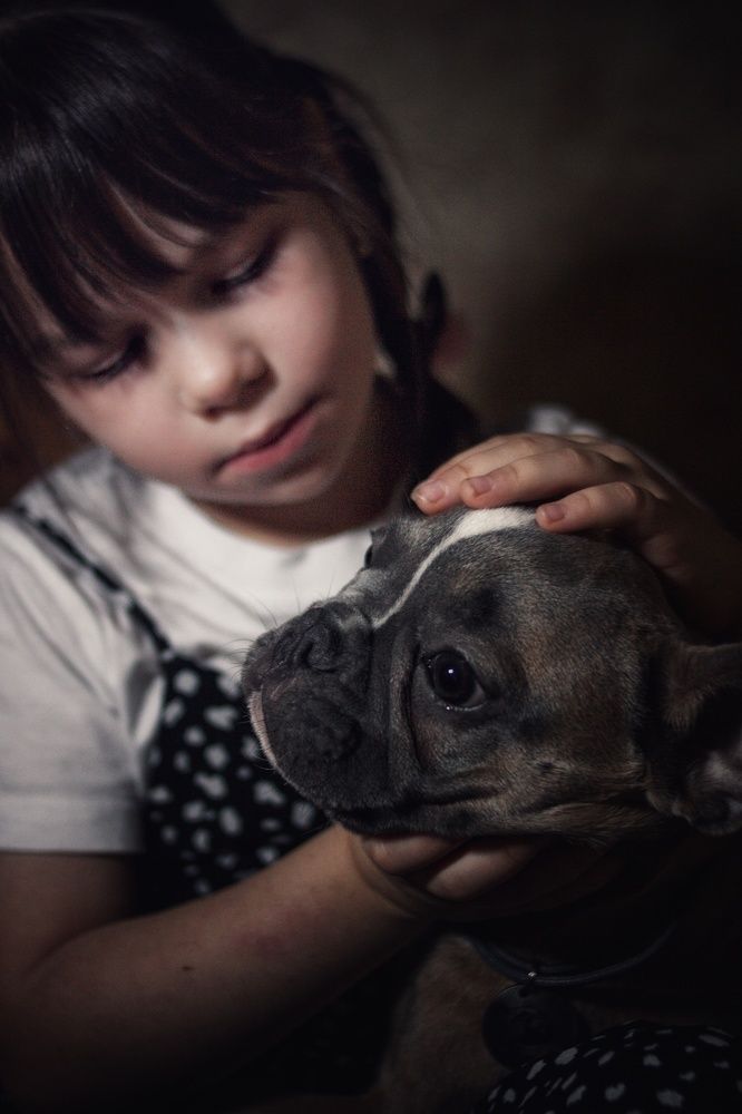 Фотография автора Алёна Михайлова