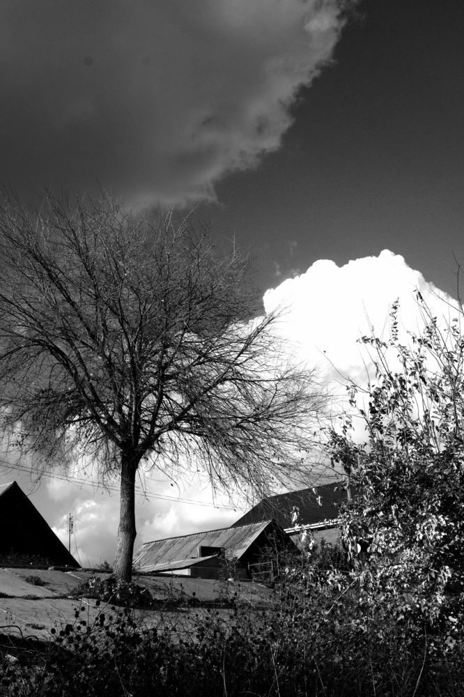 Photograph by Марина