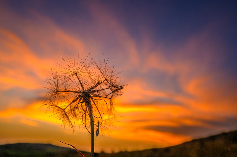 Photograph by levi bagy