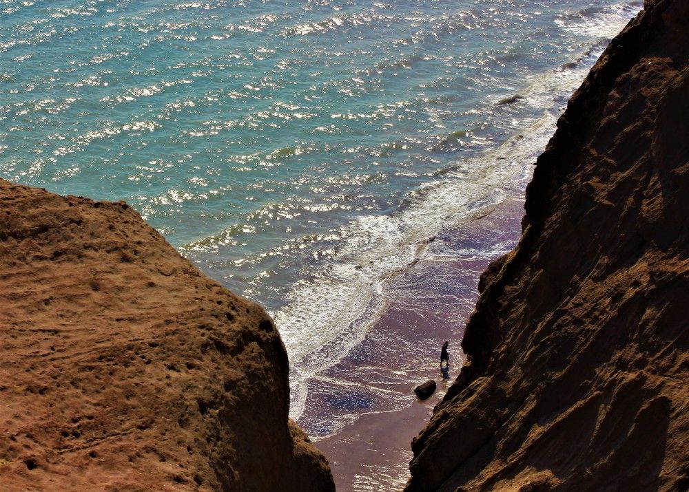 Photograph by MaryamTork