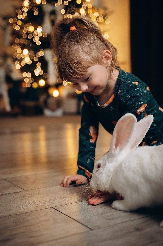 Фотография автора Дарья Дреко