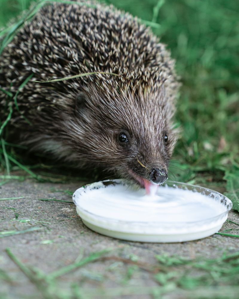 Photograph by Руслан Лазарев