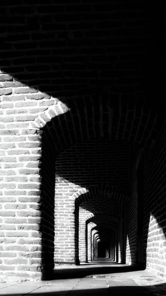 Photograph by Amir Hosein Shokrabadi