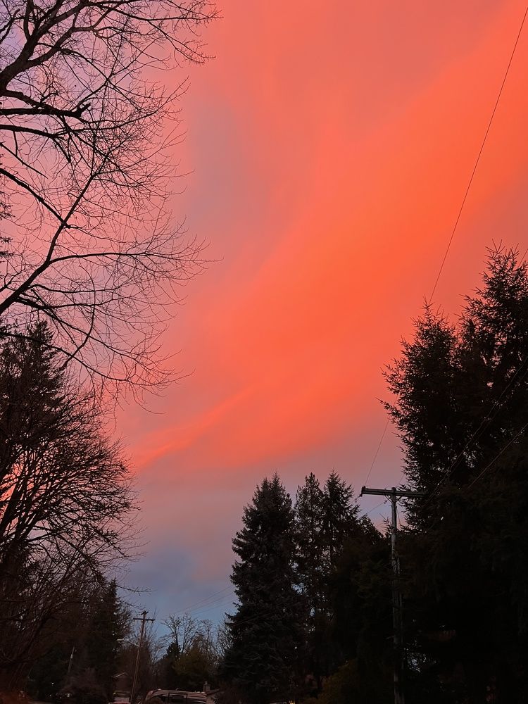 Фотография автора Diana