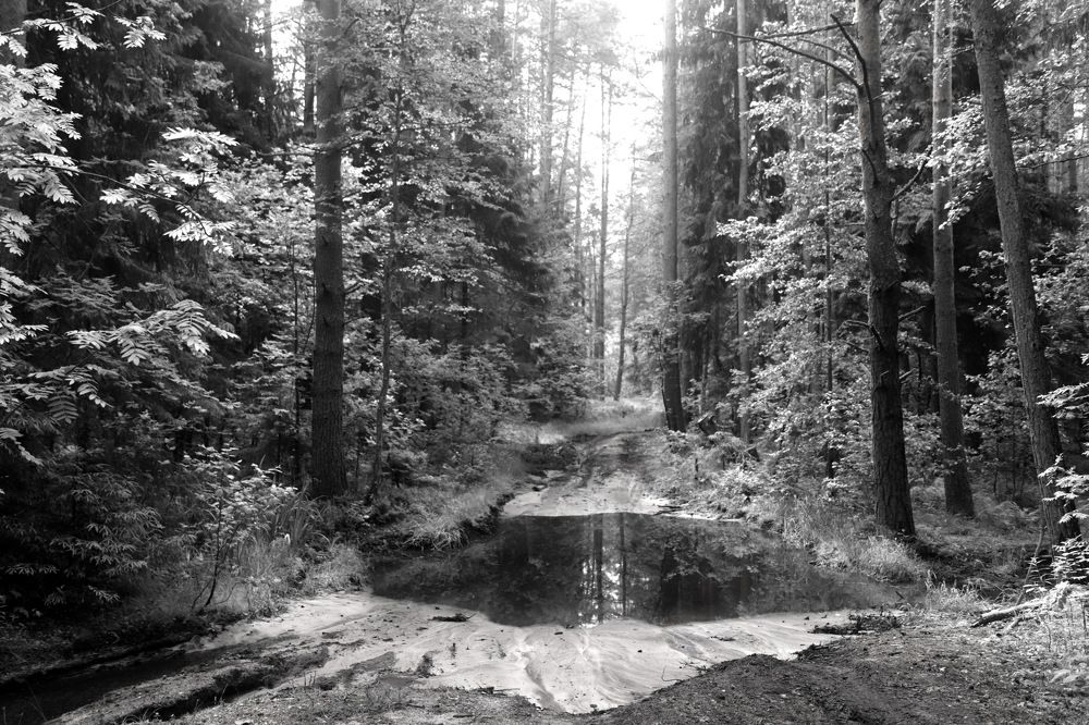 Photograph by Лада Денисова