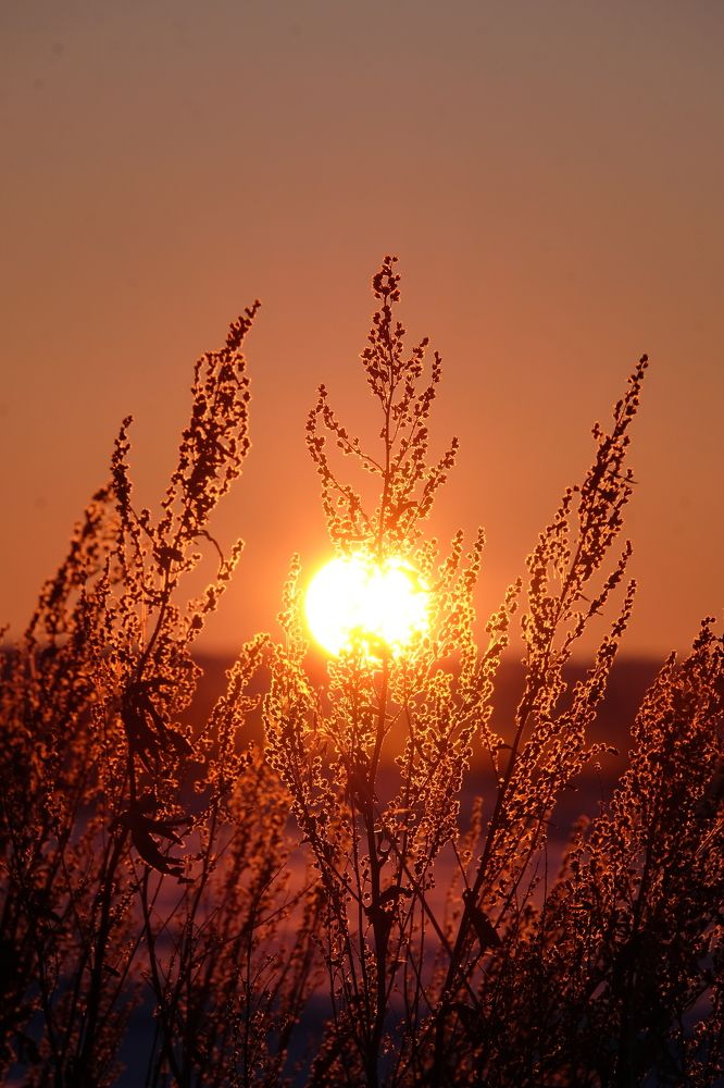 Photograph by Яна Бойко